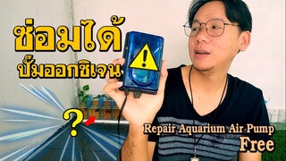 ซ่อมปั๊มออกซิเจน พัง ลมไม่ออก ลมเบา  Repair Aquarium Air Pump l JOY DIY