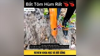 Bắt tôm hùm đất mereviewphim nntreview2 reviewphimhay onhaxemtin