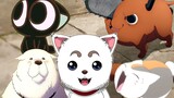 kue kucing! Pai Anjing! Kucing dan anjing lucu di anime!