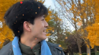 墨尔本的秋天虽迟但到。