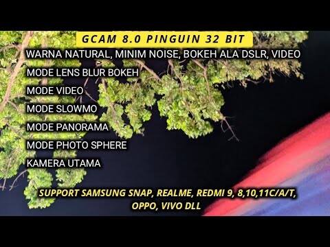 Gcam 32bit Pinguin 8.0 Samsung, Vivo, Oppo, Realme, Redmi, Bisa Bokeh ala DSLR