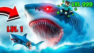 LAHIR DARI HIU KECIL DAN BERMIMPI UNTUK JADI MEGALODON 🦈