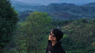 pemandangan hutan