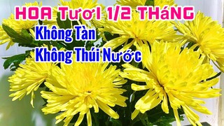 Bỏ túi ngay bí quyết để BÌNH HOA được tươi lâu mà không sợ bị tàn, bị thúi nước trong 15 ngày