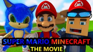 The Super Mario Bros MOVIE IN MINECRAFT Challenge! FT Sonic (reupload) Minecraft Animation Story