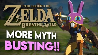 Busting MORE Myths in Breath of the Wild!! [15 Stats Questions ANSWERED!!]