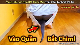 Yang Lake Và Thú Bắt Chim Khiến Anh Chủ Bất Lực || Review Giải Trí Đời Sống