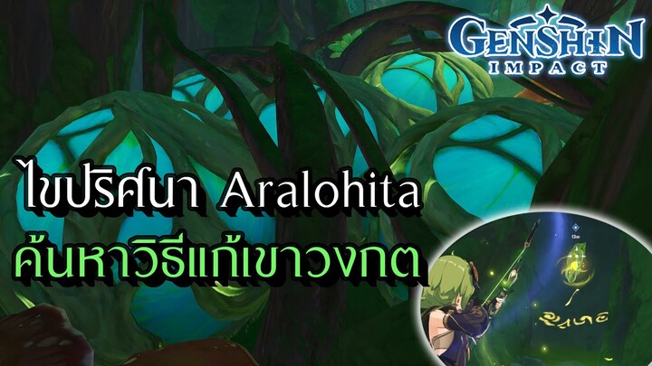 Genshin Impact | วิธีไขปริศนา Aralohita ค้าหาวิธีแก้เขาวงกต !