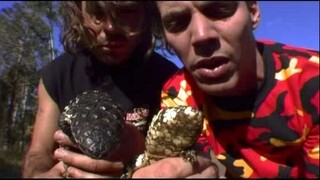 wildboyz.s01e04