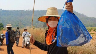 หมานๆ "หาค้องกะปอม" เอามาย่างแล้วก้อยใส่บักม่วง เมนูนี้แซบคัก!!