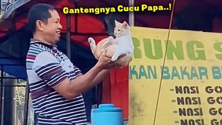 LUCU BANGET..!😂 Bapak Lebih Cinta Kucing Oren Daripada Anaknya ~ Video Kucing Lucu Bikin Ngakak