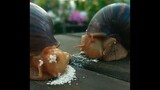 How do Snails eat?
