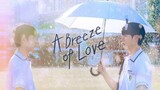 A Breeze of Love (BL) Episode 8 Finale English Subtitles
