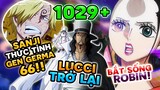 [ One Piece 1028 1029+ ] Robin Gặp Nguy, CP0 Hành Động, Sanji Thức Tỉnh Germa 66 Rob Lucci Tái Xuất