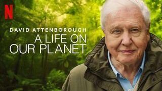 David Attenborough A Life on Our Planet (2020) Sub Indo