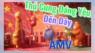 Thú Cưng Đáng Yêu Đến Đây AMV