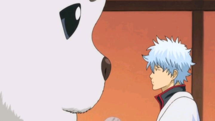 Di Gintama, bahkan anjing pun merupakan pengeluh level 10