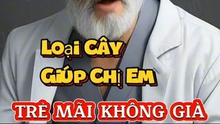 Loại cây giúp chị em trẻ mãi ko già.