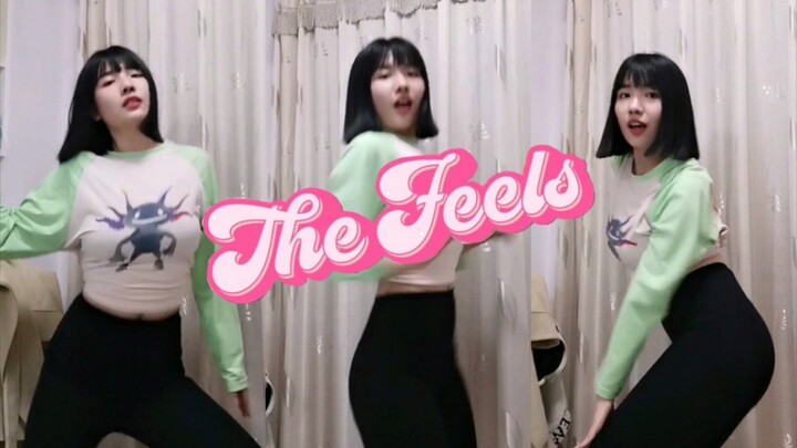 【TWICE】英单The Feels副歌翻跳 | 放炮大王就是我