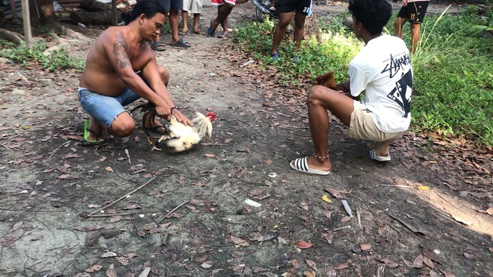 1st fight win mayahin💪🏻