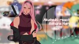 🌸||Akatsuki react Sakura Haruno||💢|| [Pt 1/?]
