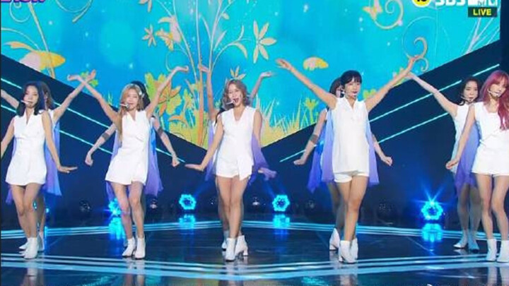 [Phụ đề Trung] "Butterfly" - WJSN Sân khấu THE SHOW