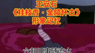 【猫和老鼠】王安石《桂枝香·金陵怀古》【形象记忆】