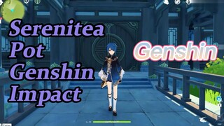 Serenitea Pot Genshin Impact