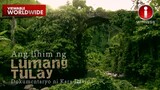 ‘Ang Lihim ng Lumang Tulay,’ dokumentaryo ni Kara David | I-Witness