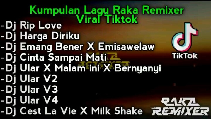 Kumpulan Lagu Raka Remixer Yang Viral Di