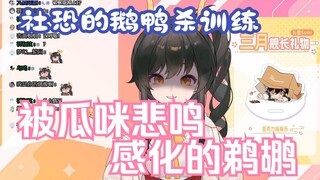 【礼墨Sumi】被鹈鹕吃掉后用悲鸣让鹈鹕忏悔的瓜咪