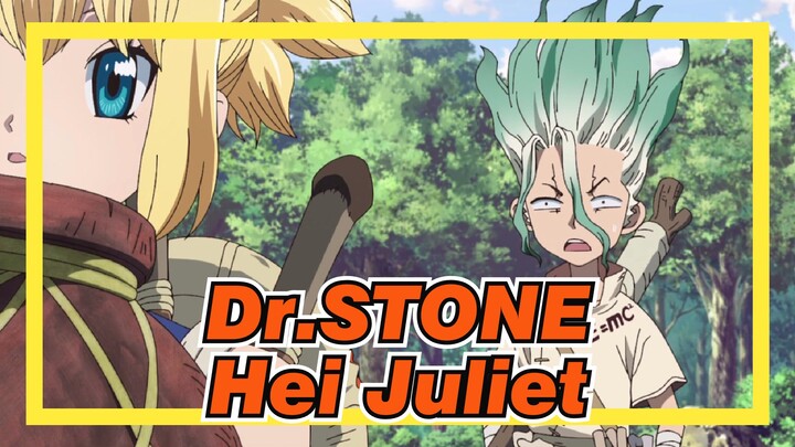 Dr.STONE | [Senkuu & Amber] Hei Juliet