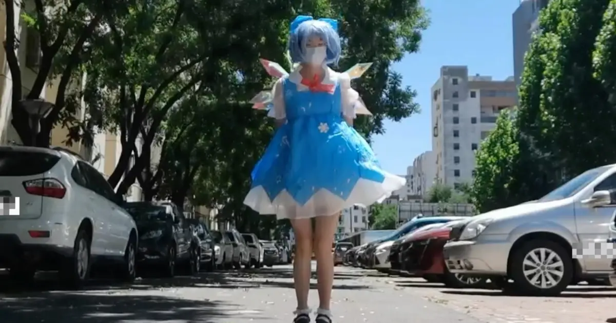 Cirno s perfect math class. Cirno's perfect Math class бакалавр.