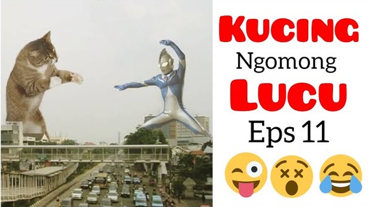 Kucing lucu bikin ngakak|video lucu kucing ngomong #11
