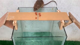 [Animals]Clever rats crossing the bridge
