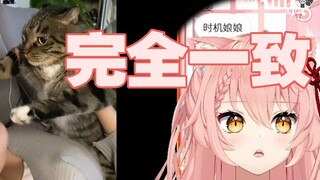 【hiiro】被石矶娘娘吓到的粉色猫猫