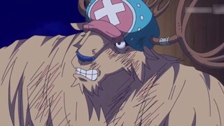 One Piece: 4 Buah Renren! 3 dari mereka adalah binatang hantu, Chopper: Tidak bisakah kamu membelinya?