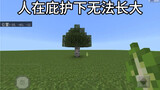 [Minecraft] "Lời dạy của giáo viên"