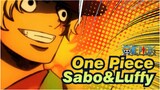 [One Piece] Sabo：Luffy, We Will Meet Again Some Day