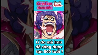 Lí do Imu bất tử #onepiece #short