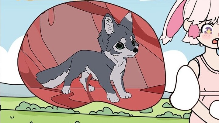 The little white rabbit fell in love with the enemy wolf king and tried desperately to get pregnant 