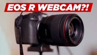 How to use EOS R as WEBCAM! Canon EOS Webcam Utility (FREE!!!)