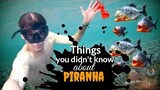 Things you didn't know about Piranha | Piranhas | Tenrou21