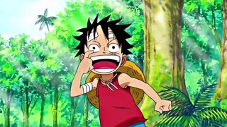 Luffy small