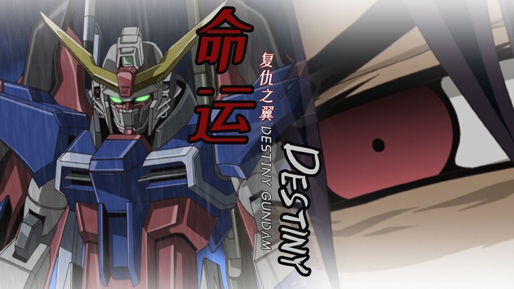 【机动战士高达seed destiny/命运MAD】复仇之翼DESTINY GUNDAM