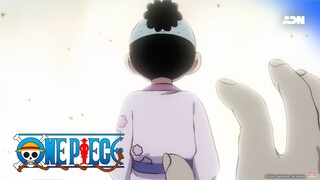 One Piece | La décision de Momonosuke.