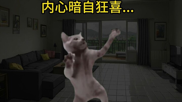 [Cat meme] Tối nay vợ tôi không có ở nhà