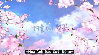 Hoa Anh Đào Cuối Đông EP 03 [Sub Việt]