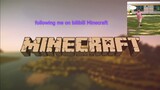 Minecraft you know what