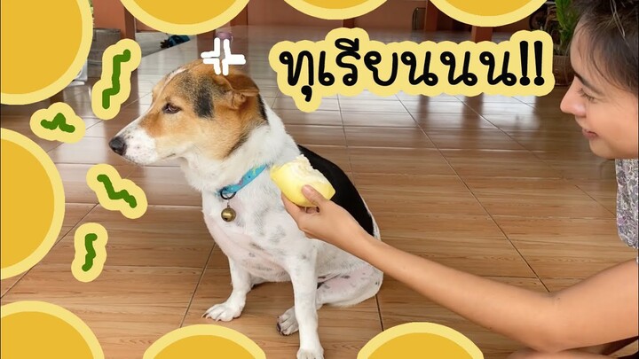 โลกของแสนดี ตอน หนูเกลียดทุเรียนนน!!